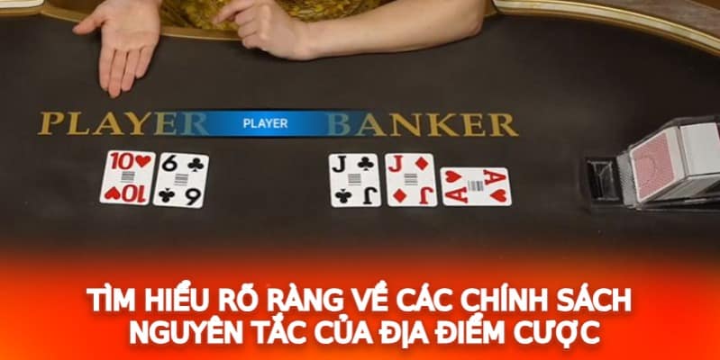 Tìm hiểu rõ ràng về các chính sách nguyên tắc của địa điểm cược