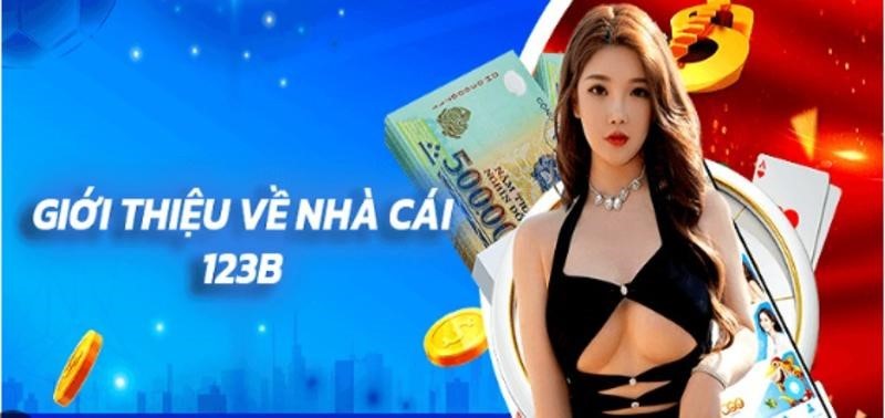 giới thiệu về đại lý 123b