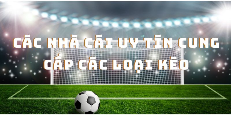 Top nhà cái có tỷ lệ kèo cao nhất